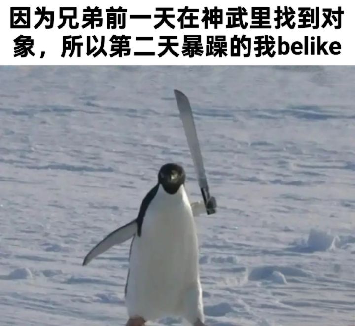 好生气！！兄弟在游戏里找到对象了截图