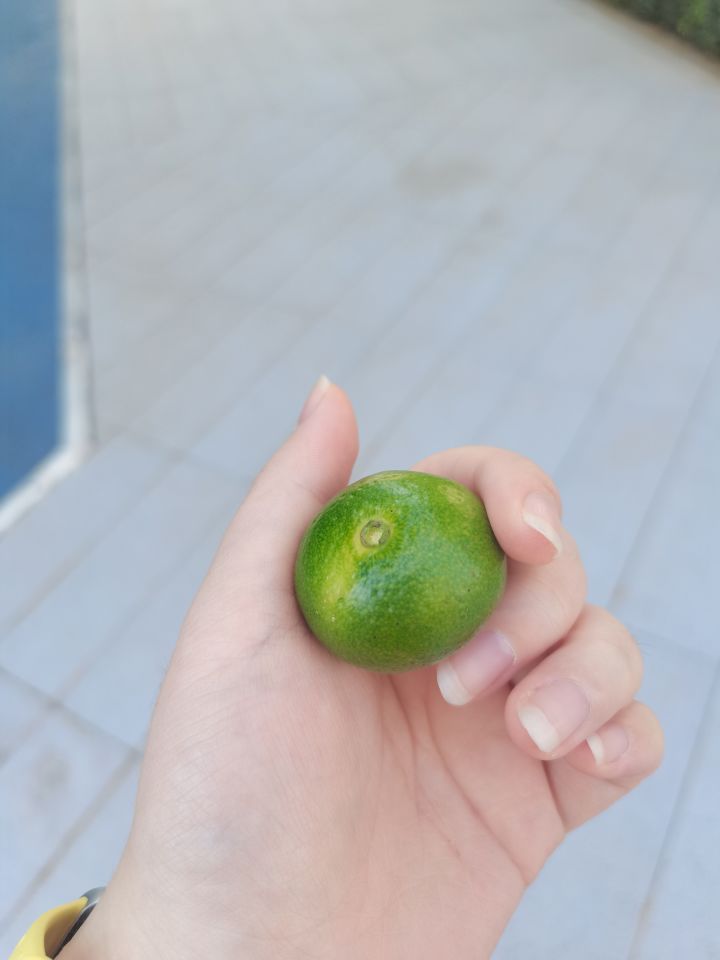扩列~截图