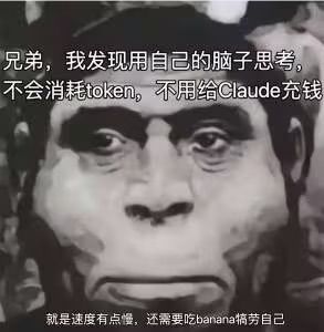 不肝不氪找固排截图