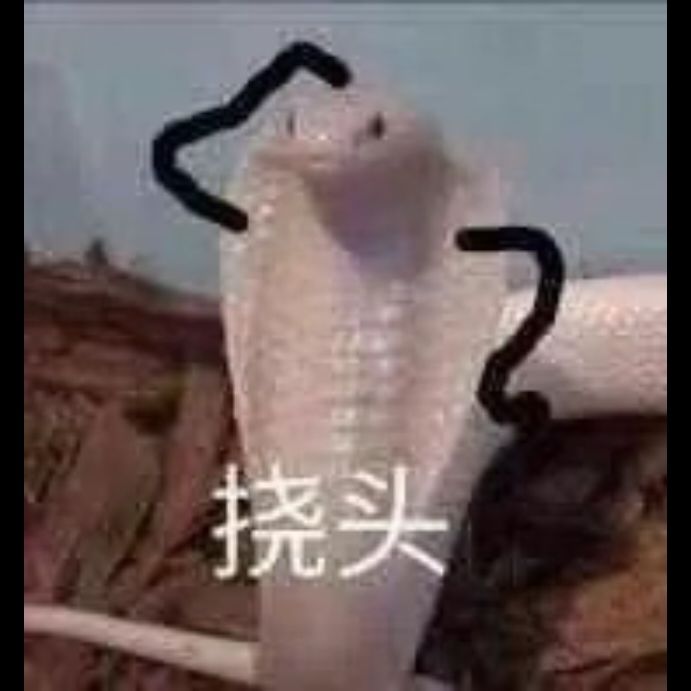 刚入坑抽哪个蛋好 1