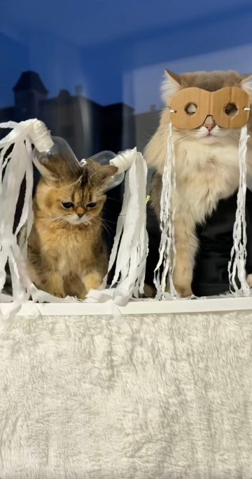 如何延长赛季时间