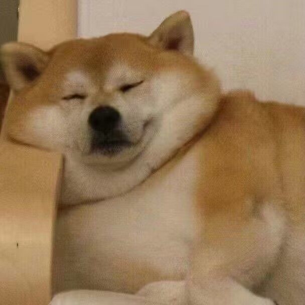 诺亚方舟是我玩过最良心的游戏截图