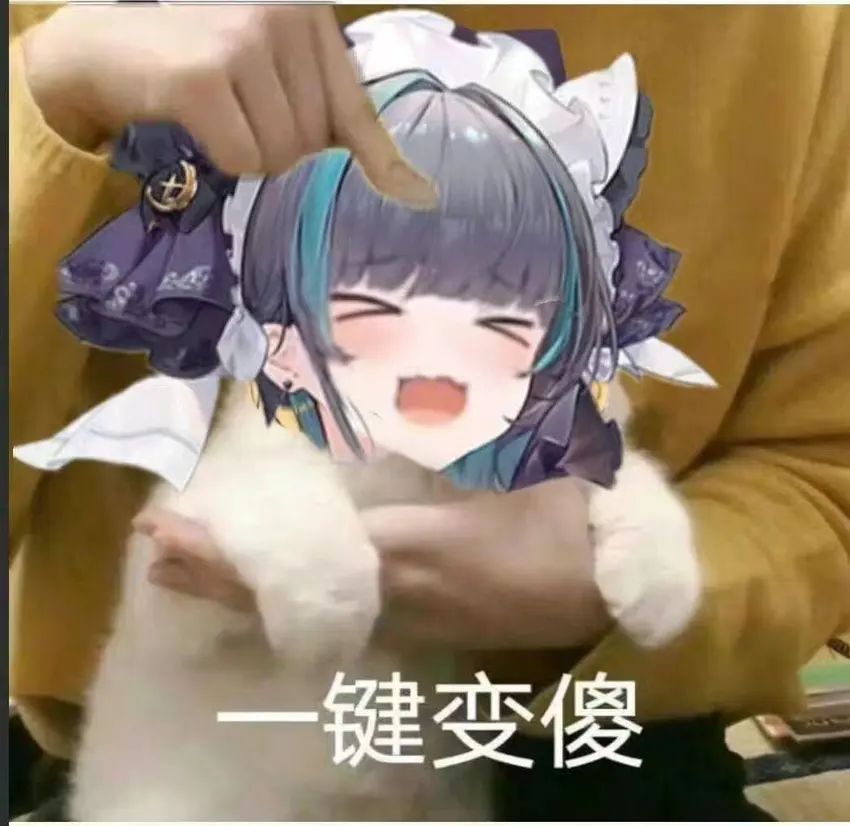🌟柴郡猫猫(碧蓝航线)表情包分享第四期🌟 1