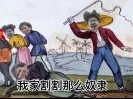 动态图片 8