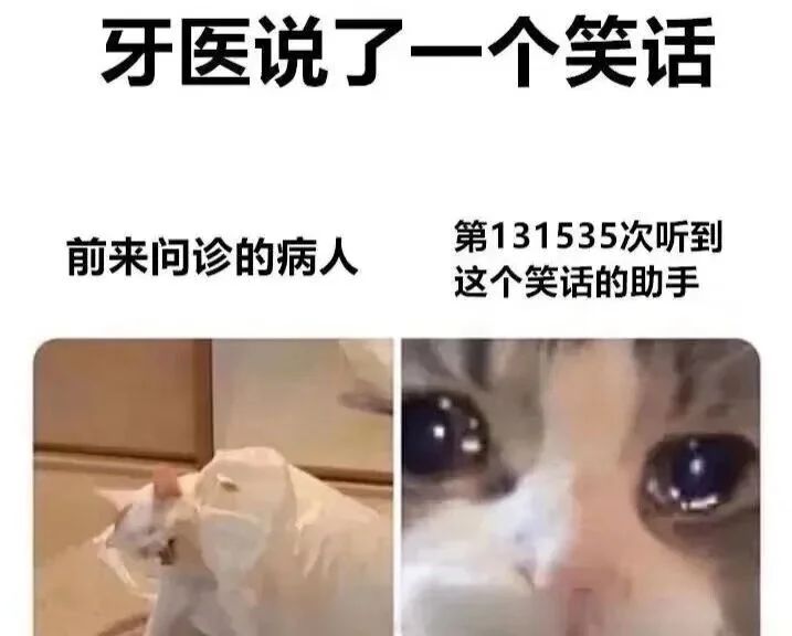 今日份梗图分享 2