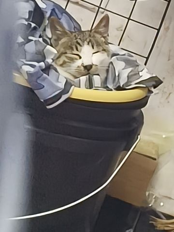 新手快乐一篇通——真1.0（上）