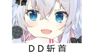 头纱斩首流(不吃遗物，5661天赋点满，2451可玩)