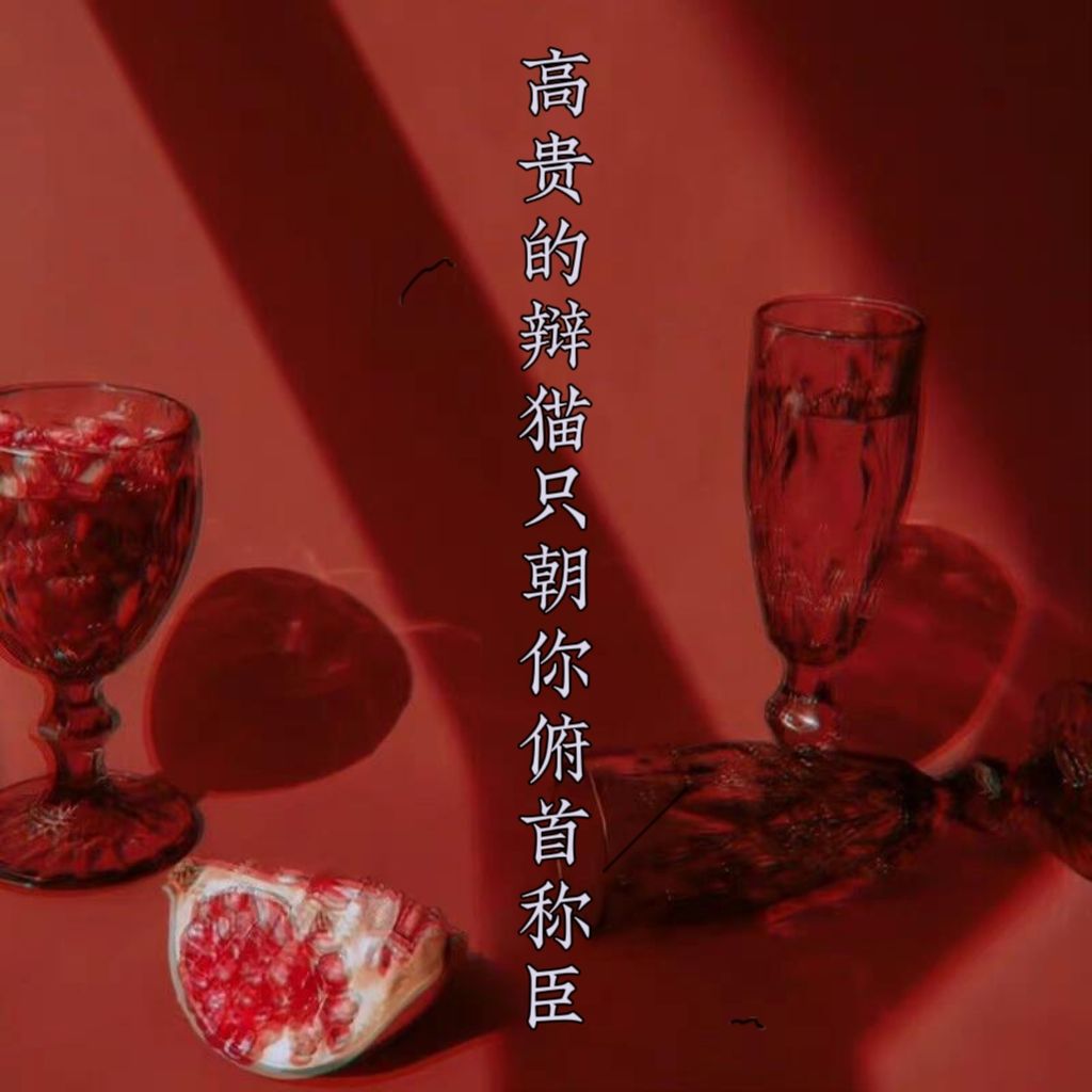 高贵的辩猫只对你俯首称臣 1