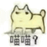 《那几个都去扒我抖音了》 1