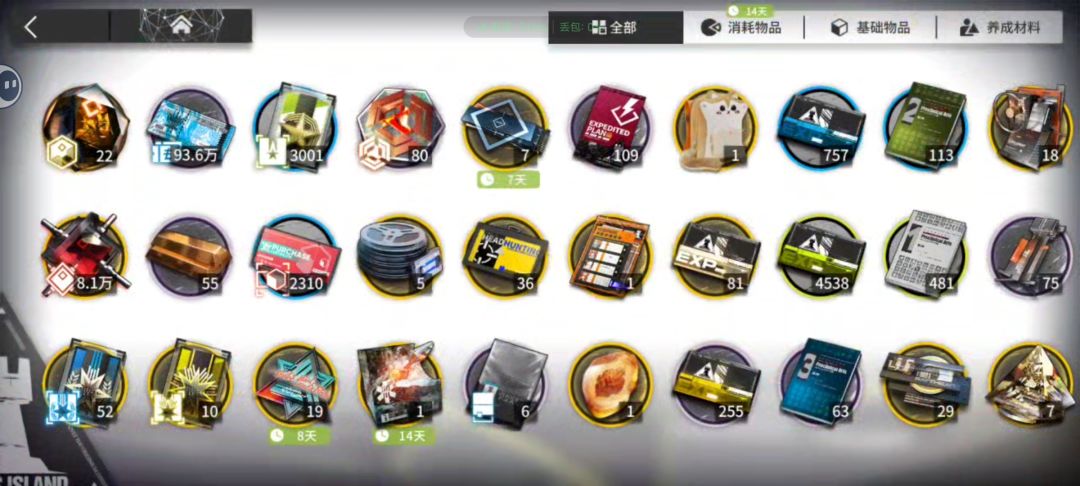 给维什戴尔攒石头的第88天 1