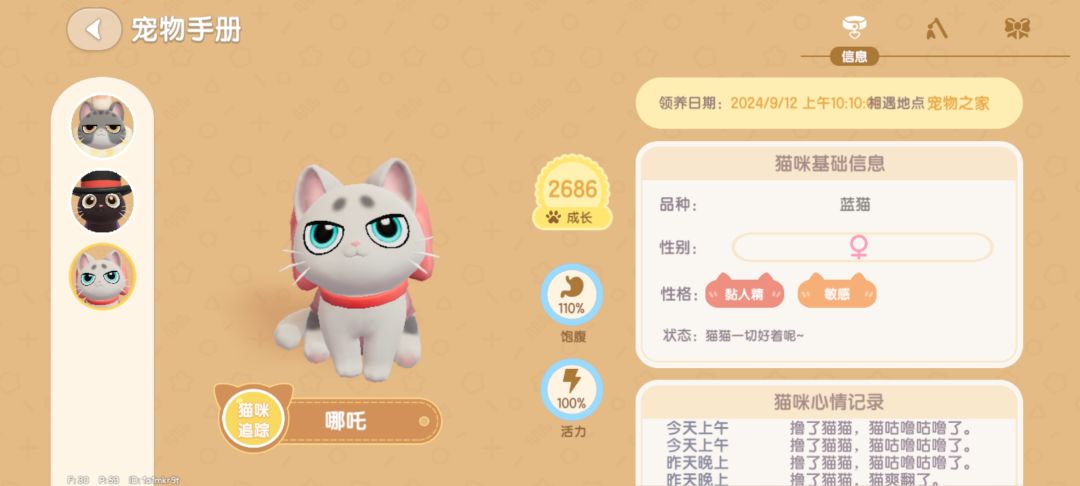 猫上头，我也上头了！ 2
