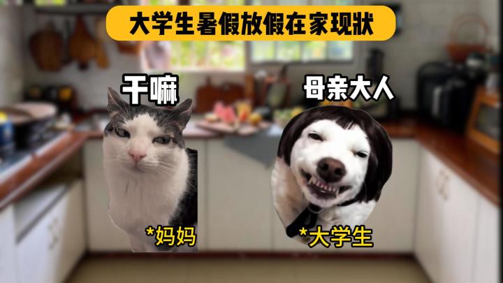 大学生暑假放假在家都做什么?截图