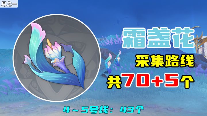 【原神】霜盏花采集路线(70+5个),4~5号线:43个截图