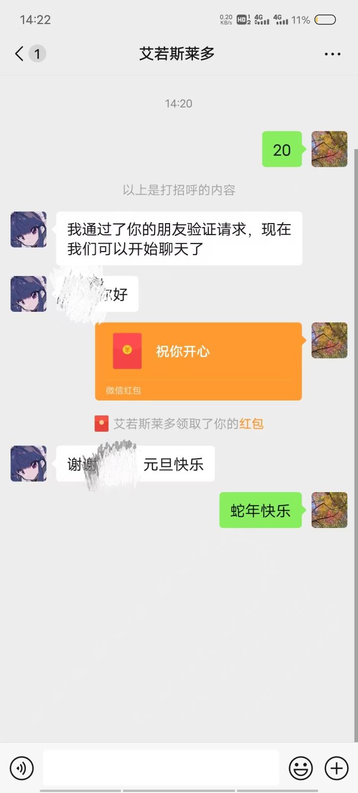 谢谢老师轩辕云雪的新年礼截图