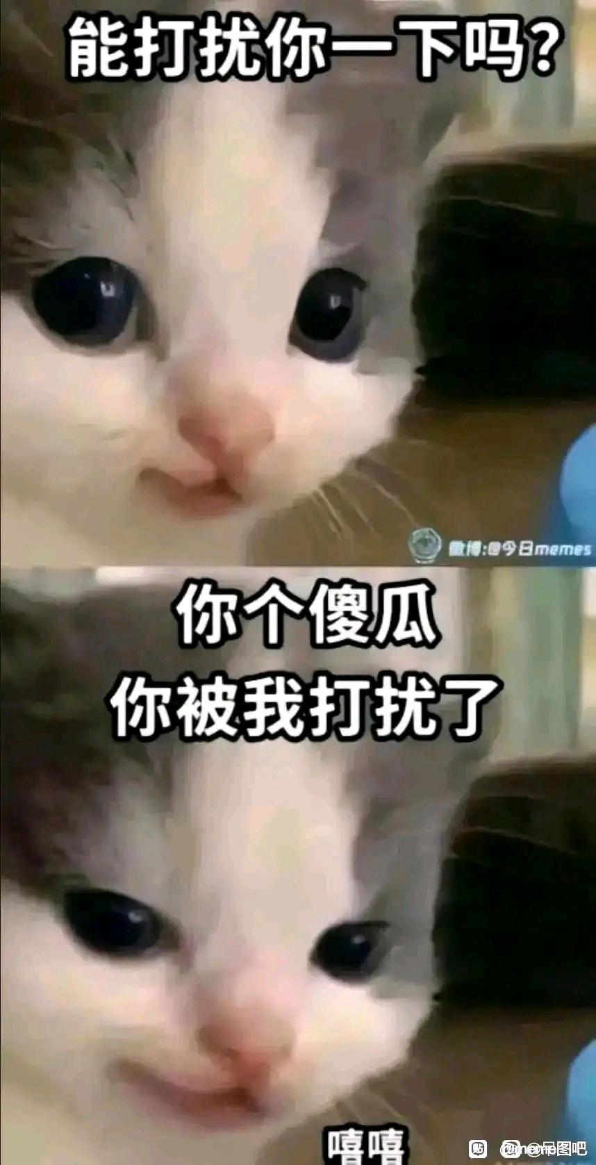 我的存档被覆盖了 1