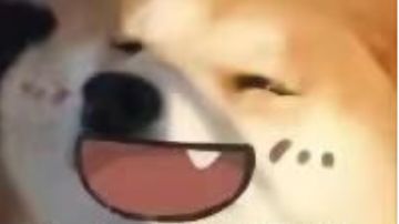 来“电”沙雕图#65