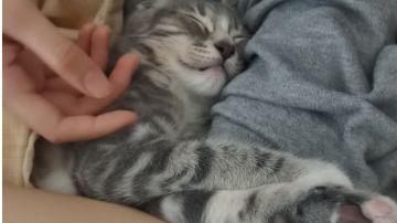 开局记录贴(更新开局后流程)