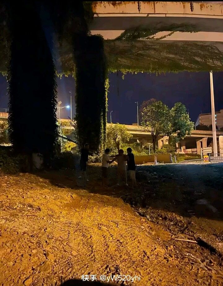 佳宁哥视频 2