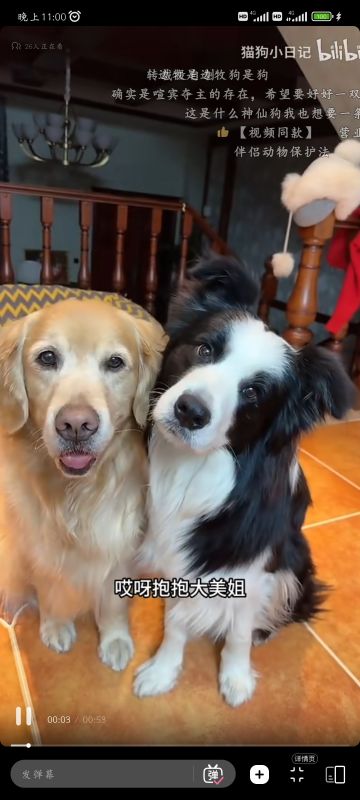 就算失望，不能绝望