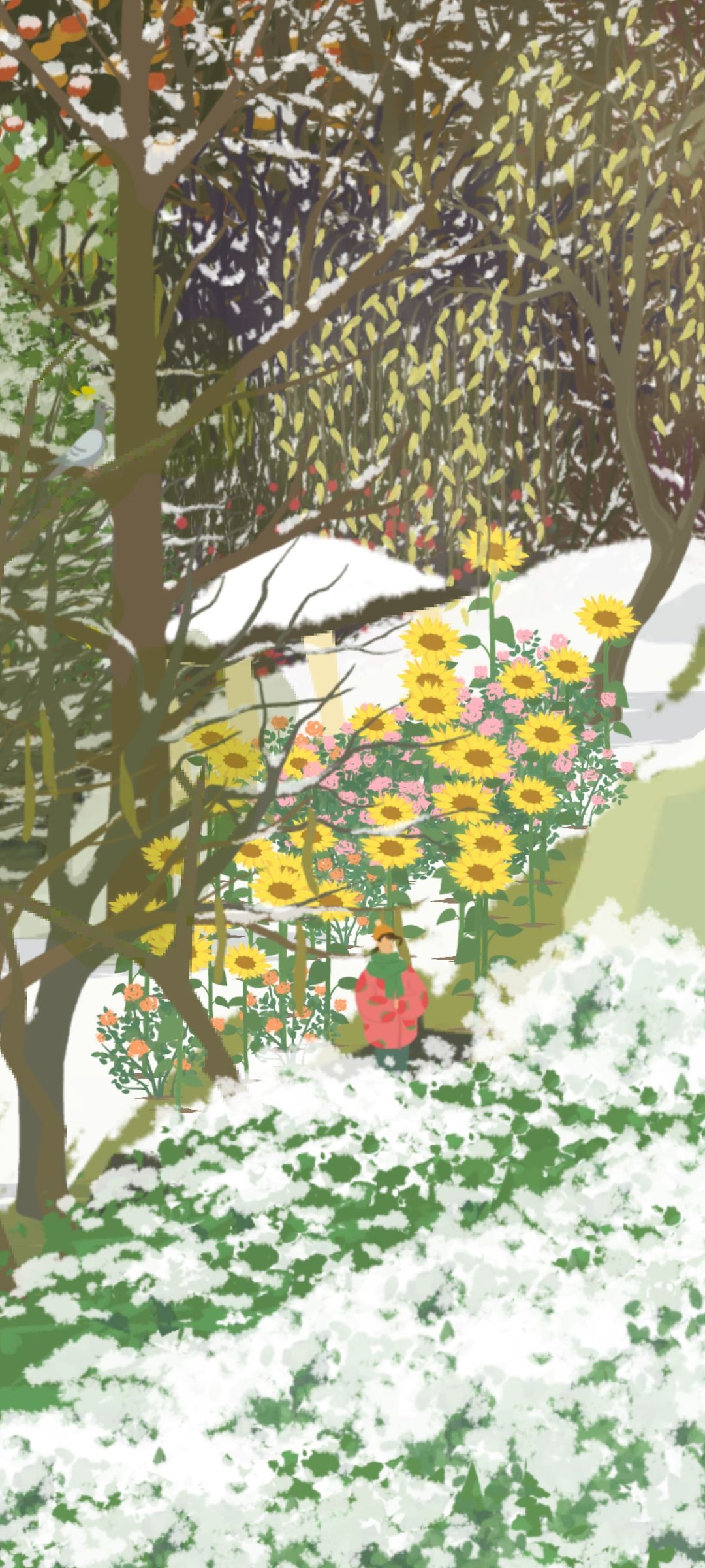 终于有积雪啦 2