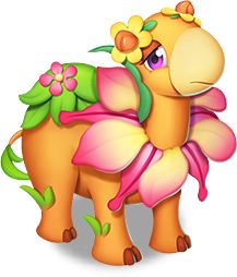 萌宠选美预选||五级萌宠第二轮选美比赛开始