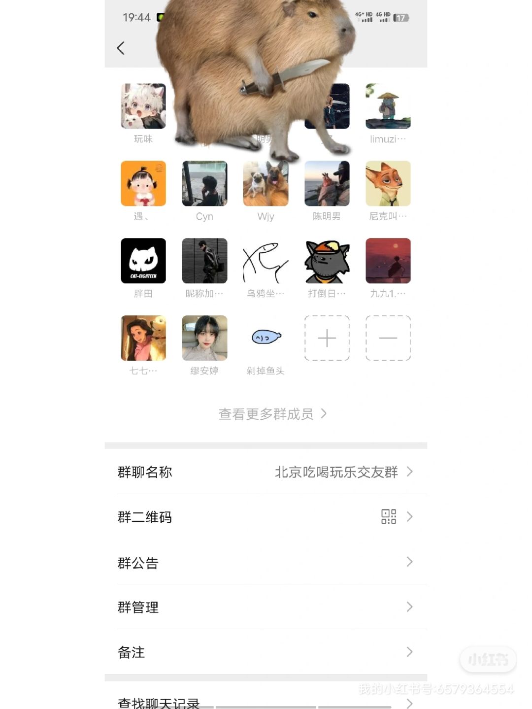 北京交友搭子 1
