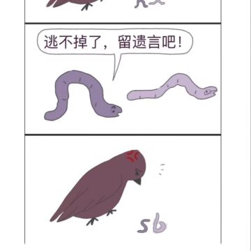 辉烬已经燃烬了，再见了各位传火者