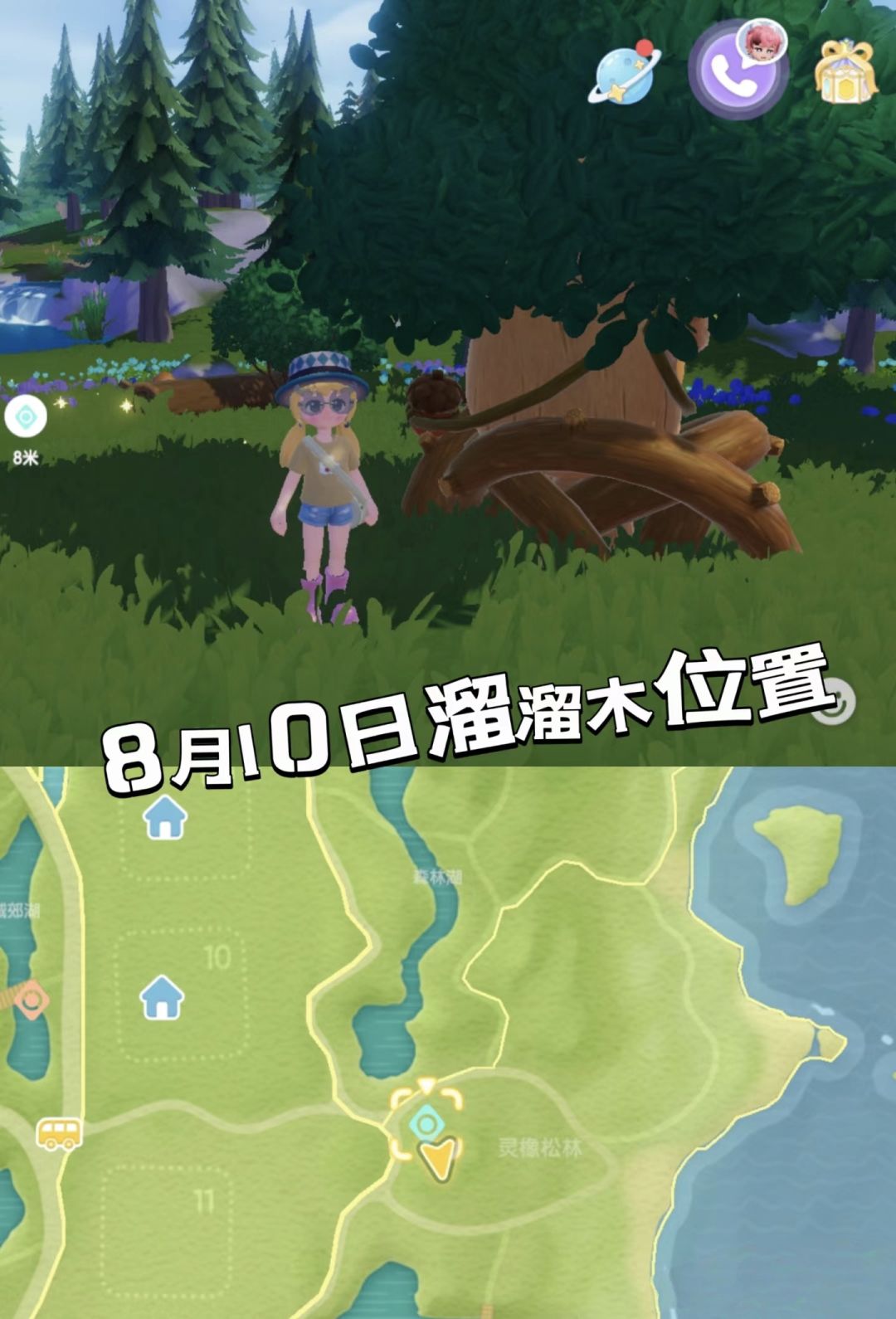 心动小镇8月10日萤石,溜溜木,鸭子位置等 3
