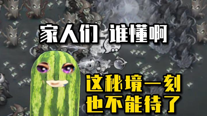 召唤师:家人们谁懂啊,这秘境一刻也不能待了截图