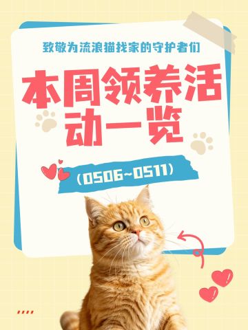 本周毛孩子领养活动一览（5.6~5.11）