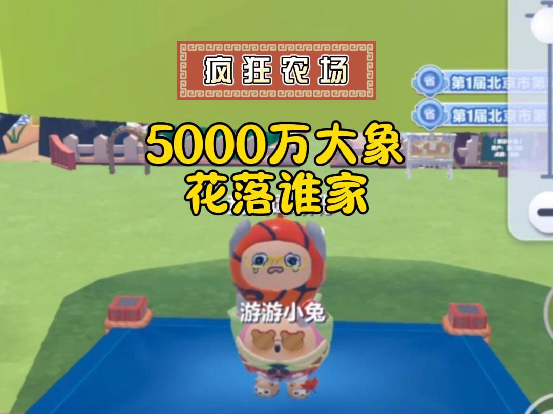 video-5473711