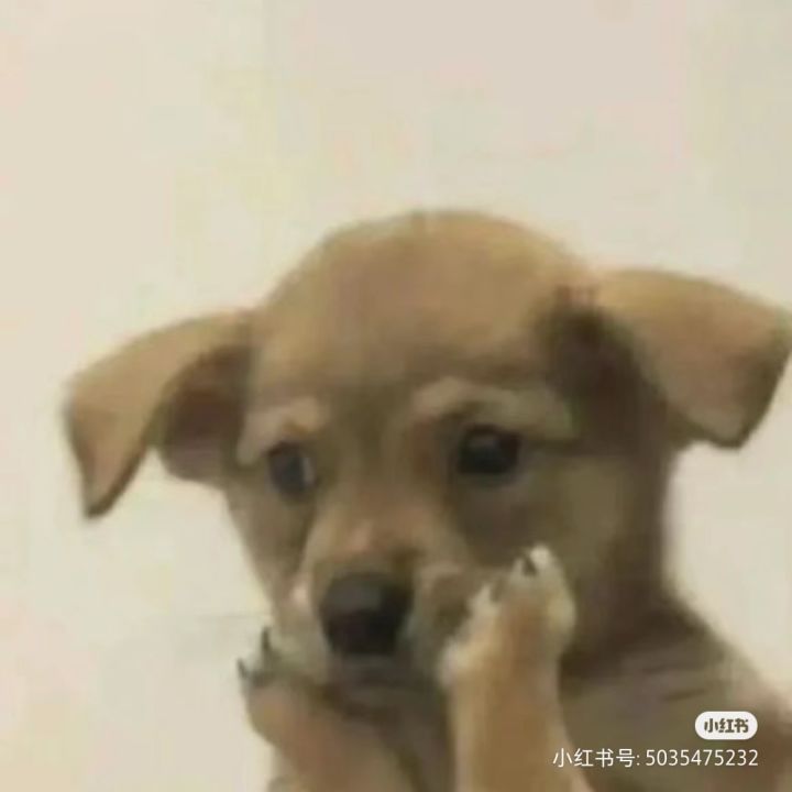 为什么会三打一?截图