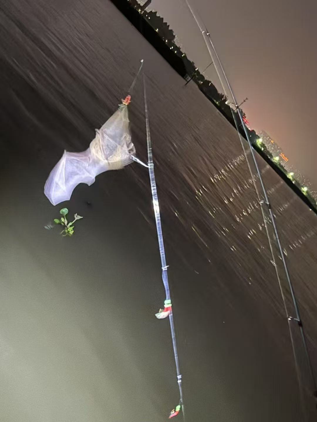 钓鱼佬除了鱼,啥都能钓 2