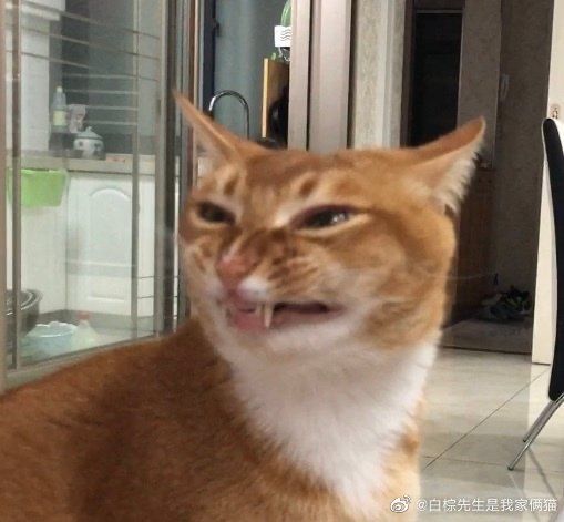 动态图片 4