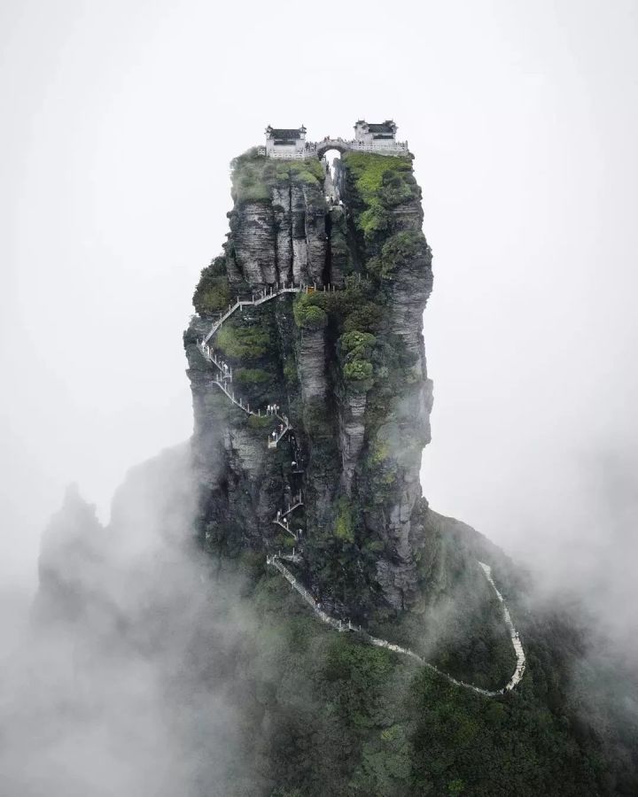 暑期生活分享截图