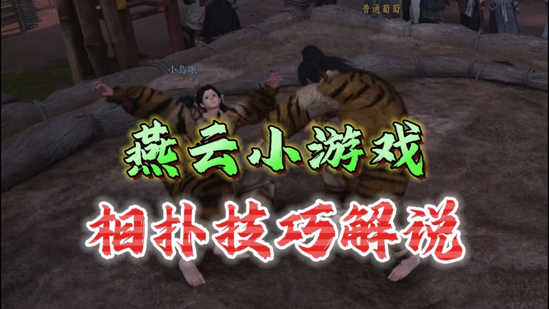 video-4741255