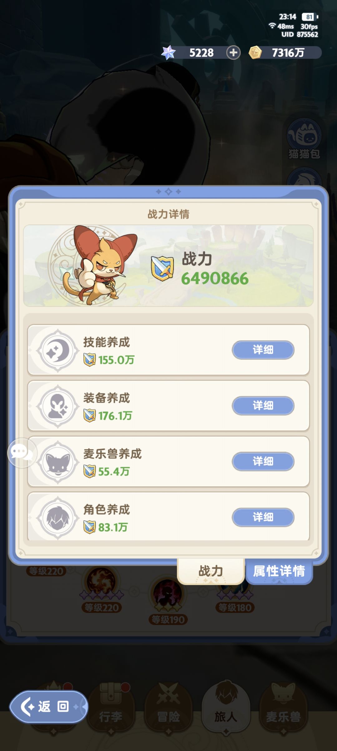 求助帖!!!总感觉战力虚高没伤害 2