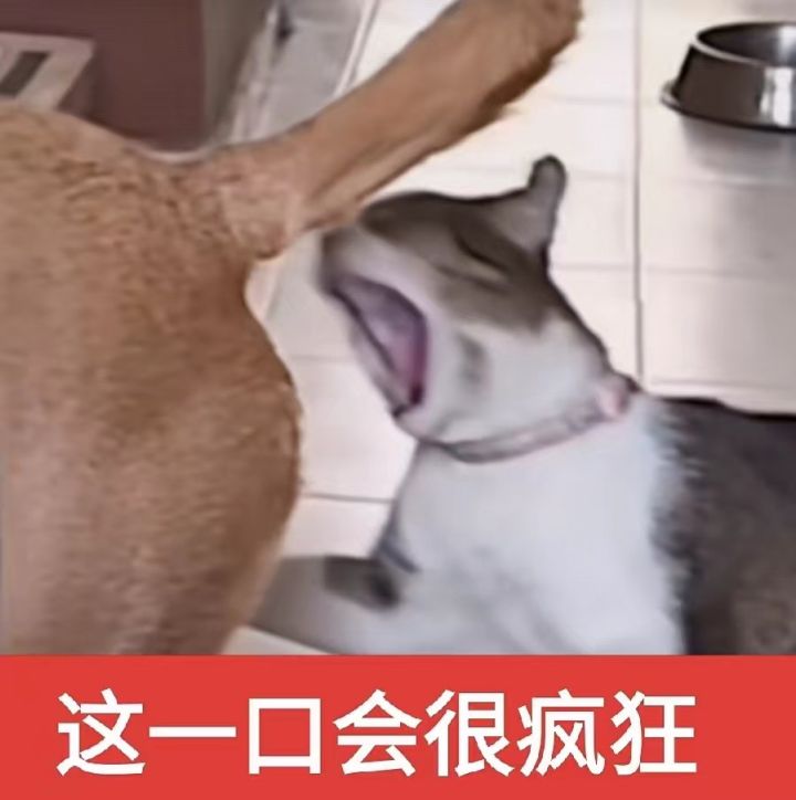 更新以后实验室门后的箱子会清空还是进邮箱截图
