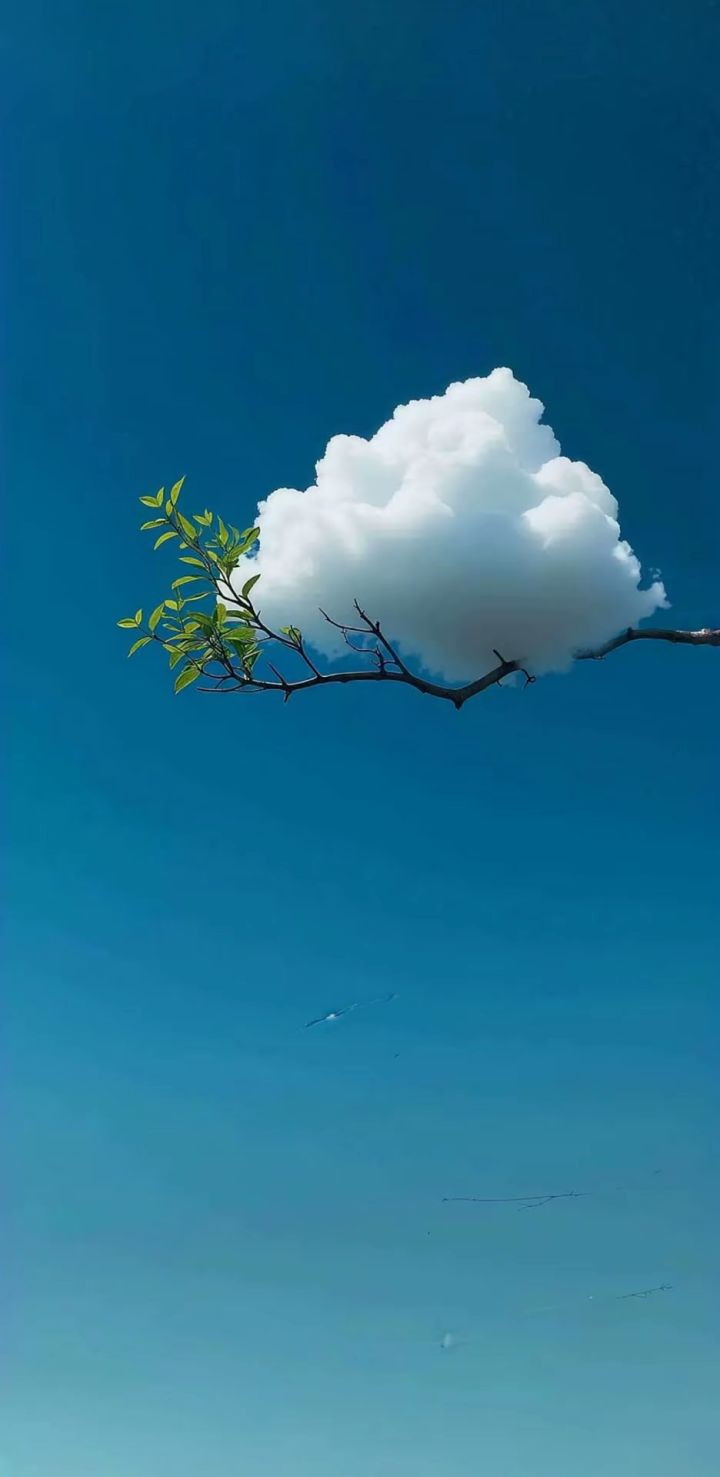 来来来截图