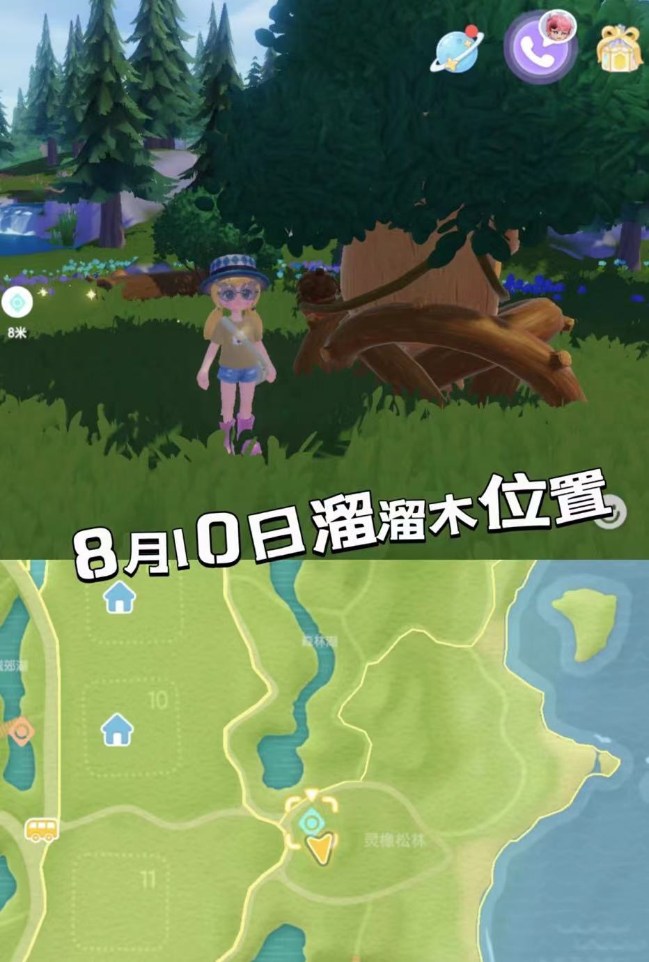 心动小镇8月10号萤石,溜溜木,鸭子位置等 3