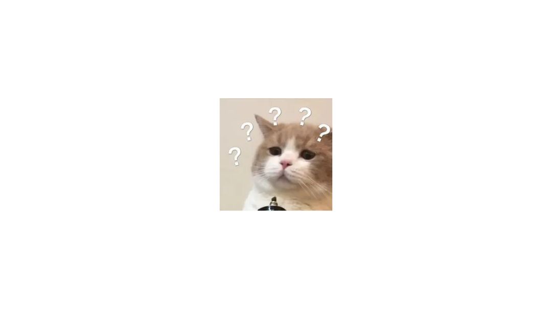 灵宠测评——白泽截图