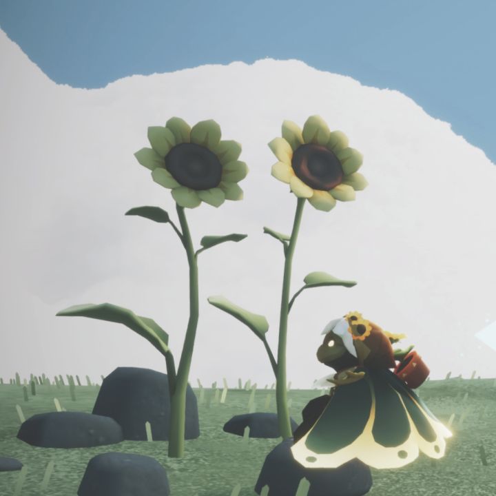 🌻截图