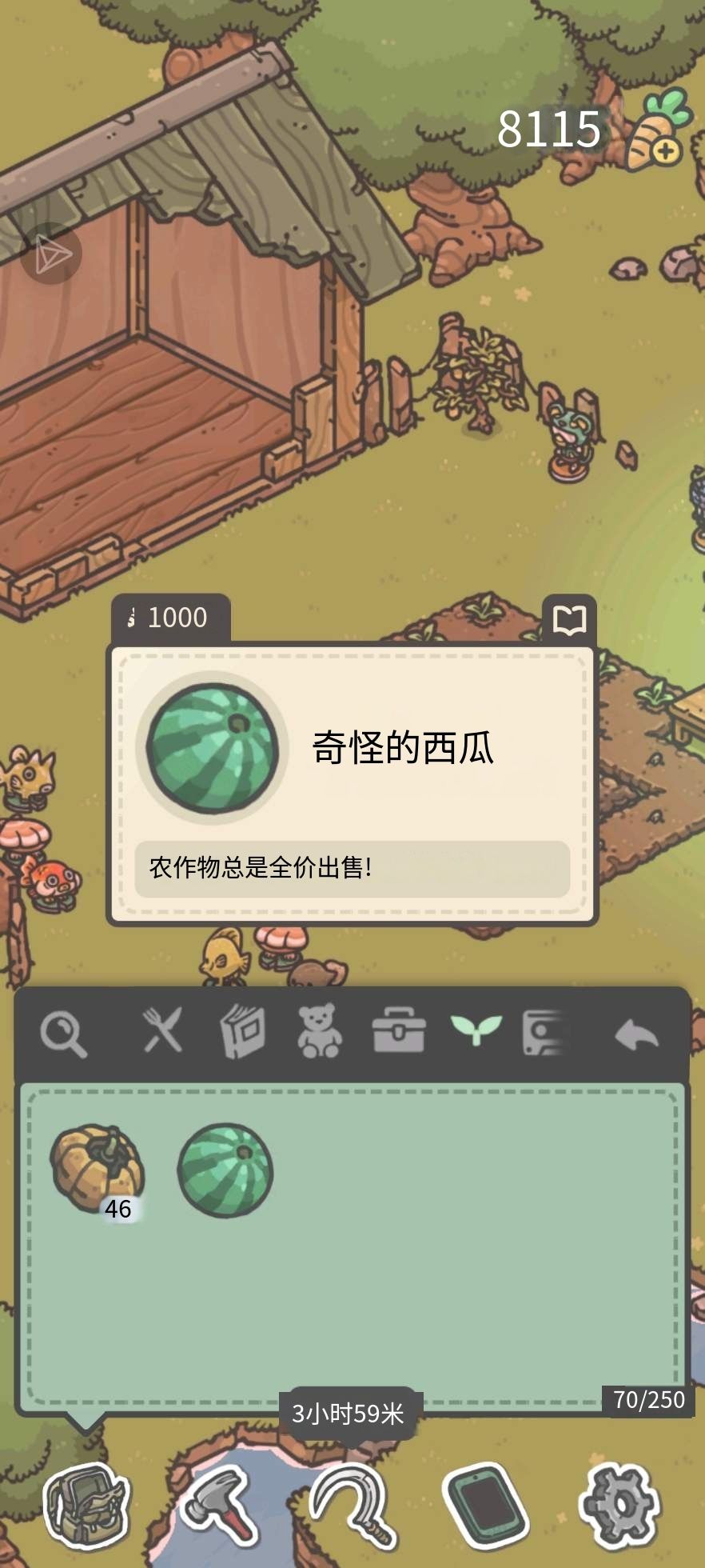 这种西瓜是概率获得吗? 1