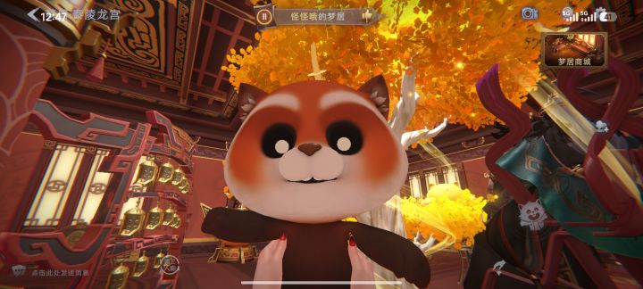 欢迎来到新家,小毛球截图