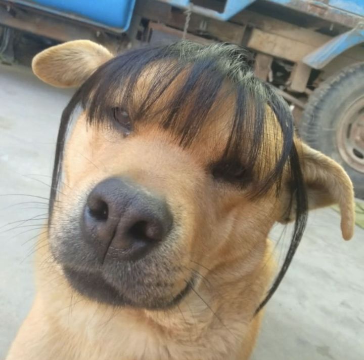 求求各位混团的哥，别打BOSS卡伤害好吗截图