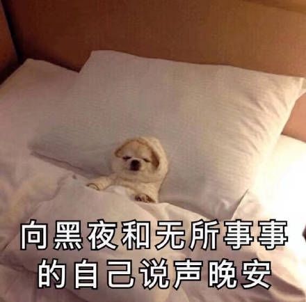 我是秦始皇截图