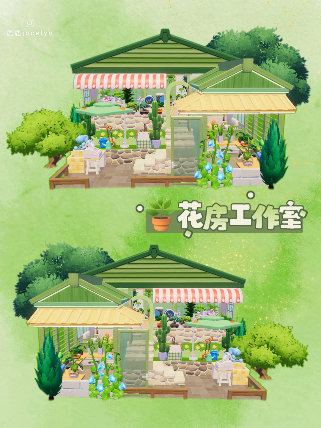 🪴来花店买一盆春意带回家吧 1