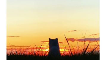 灰烬战线主线三星dolls打捞汇总