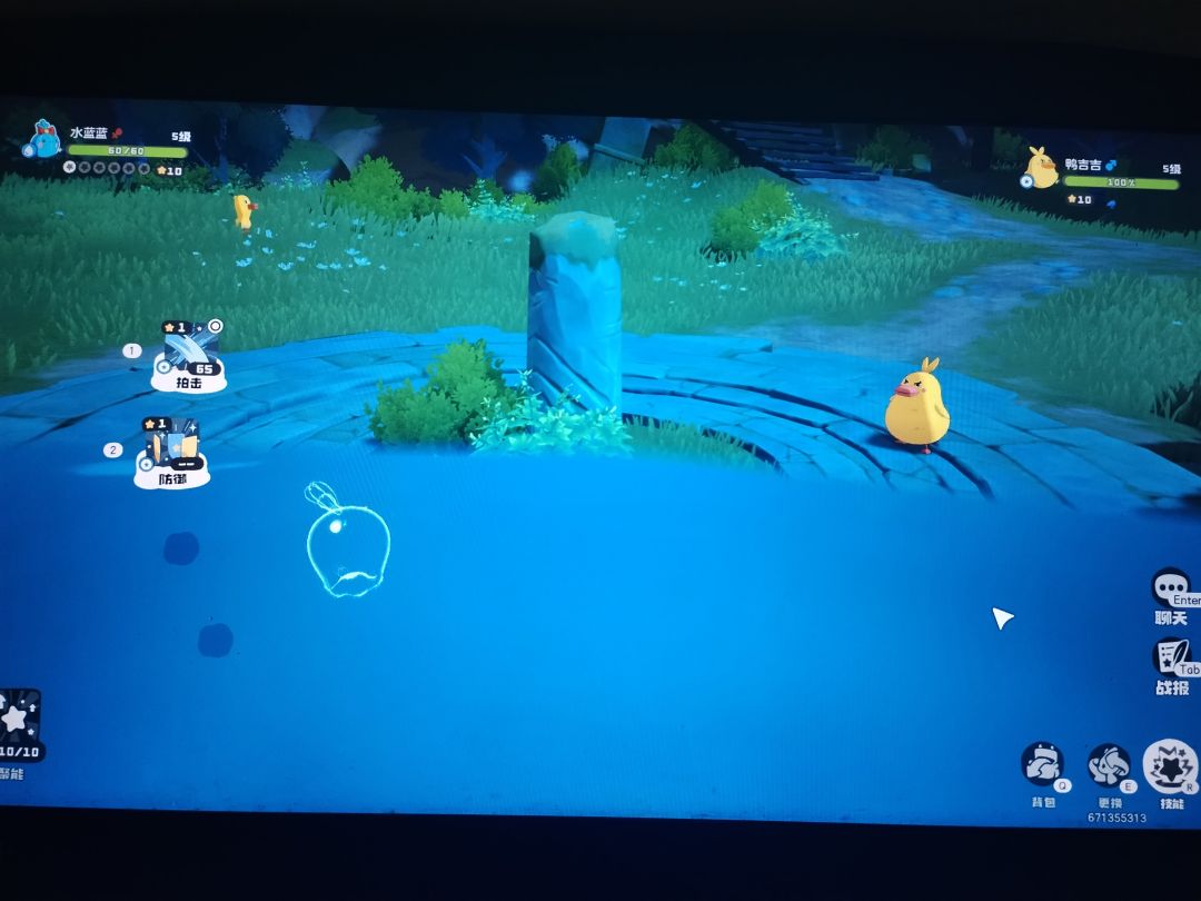 bug 1
