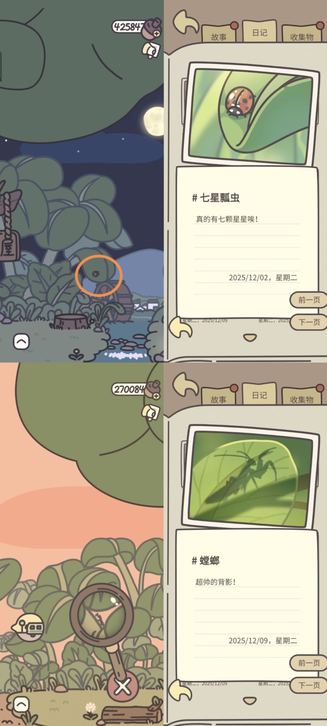 昆虫汇总 2